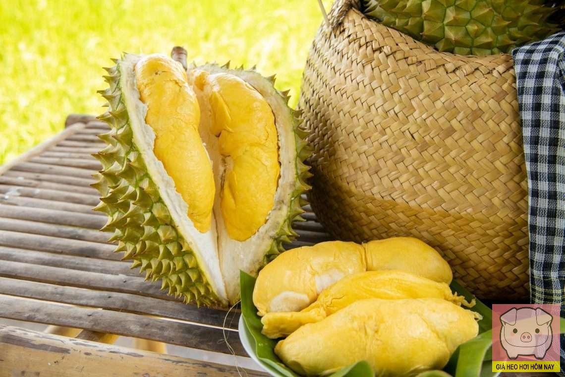 Ngành sầu riêng Việt Nam, xuất khẩu sầu riêng, mã số vùng trồng, tiêu chuẩn Trung Quốc, phát triển bền vững